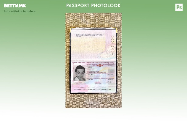 Шаблон за изглед на слика за пасош на Чешка во модерен стил